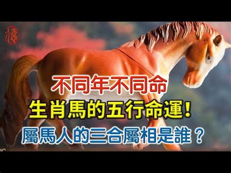 馬五行屬性|【生肖馬五行】屬馬五行屬什麼？生肖馬五行相生相剋查詢指南，。